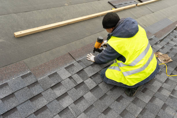 Best Roof Gutter Cleaning  in Magnolia, NC