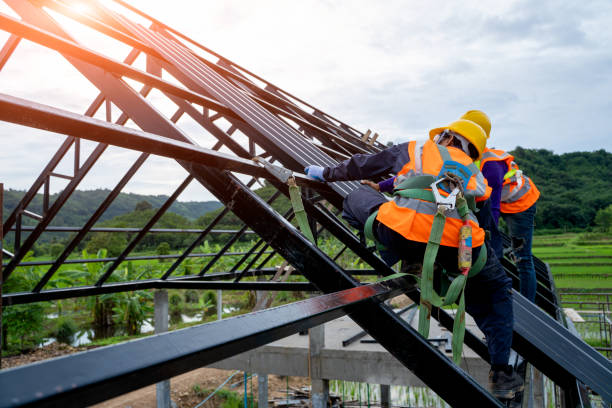 Best Gutter Installation and Roofing  in Magnolia, NC