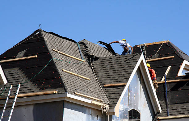 Best Metal Roofing Contractor  in Magnolia, NC