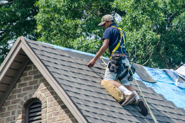Professional Roofing Contractor in Magnolia, NC